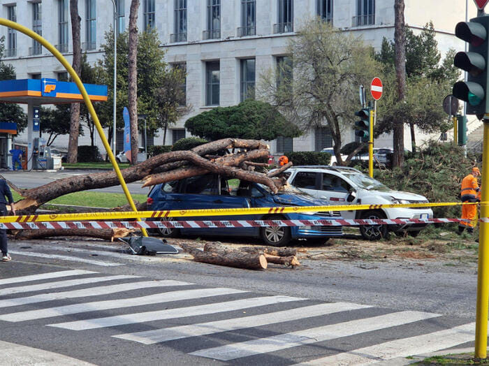 Automobilista ferito dal crollo di un pino, Rossi UGL Roma: segno delle mancate promesse del sindaco